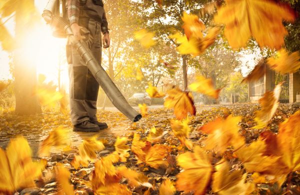 Cost of Leaf Blowing Service in Renton