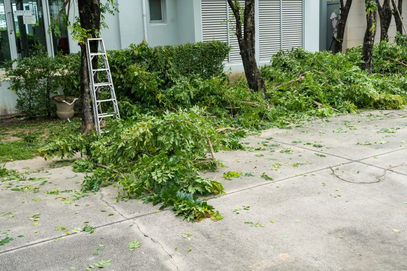 Commercial Leaf Removal