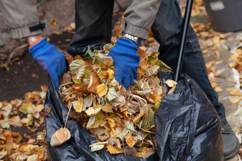 Community Leaf Cleanup