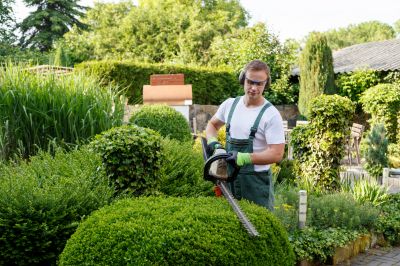 Hedge & Shrub Pruning