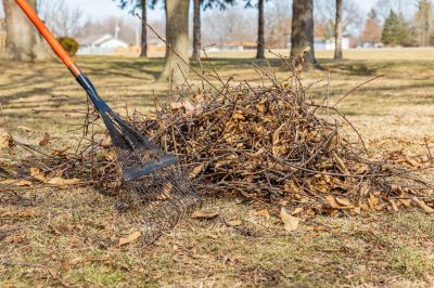 Leaves Raking