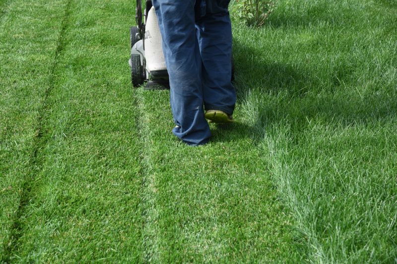 Edging and Mowing