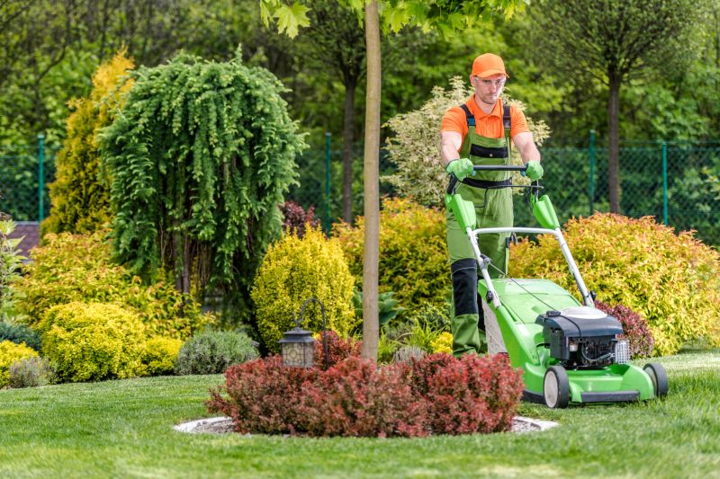 Independent Lawn Care Specialists