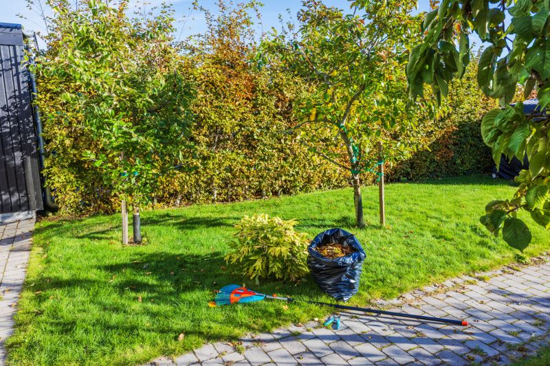 Why Fall And Spring Are The Best Times For Lawn Clean Up